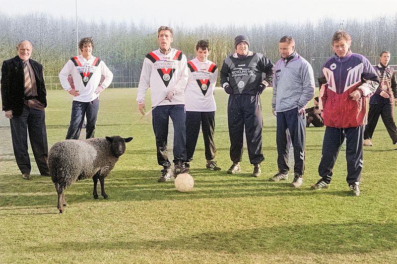 Foto in kleur van voetbalclub De Zwarte Schapen, met een echt zwart schaap
